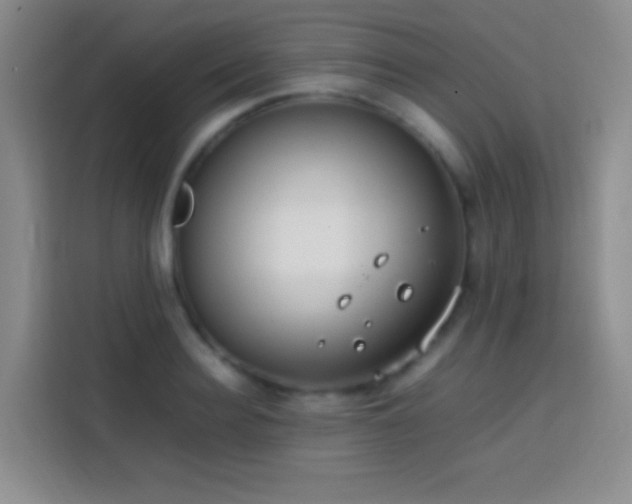 X0000113850940200910010958