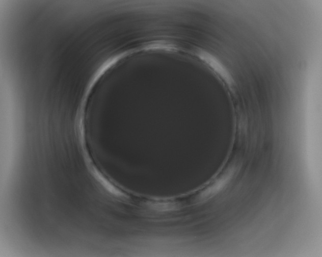 X0000113850941200910010958