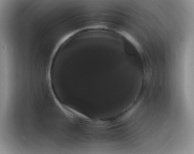 X0000113850943200910010958