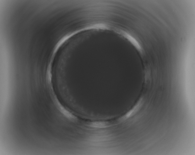 X0000113850944200910010958