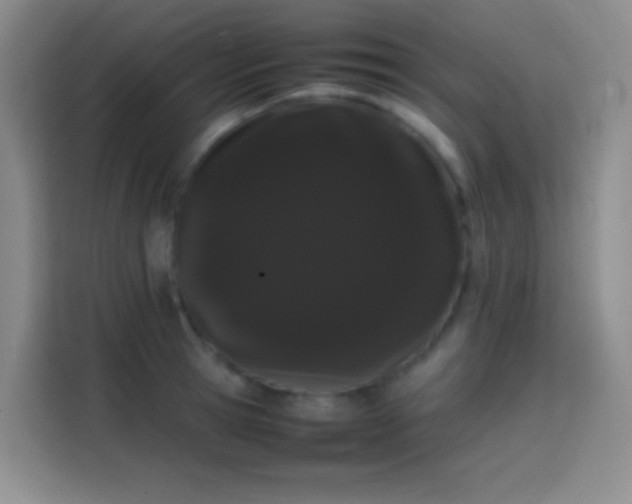 X0000113850945200910010958