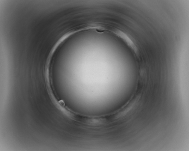 X0000113850947200910010958