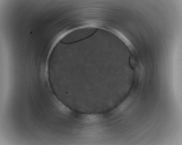 X0000113850948200910010958