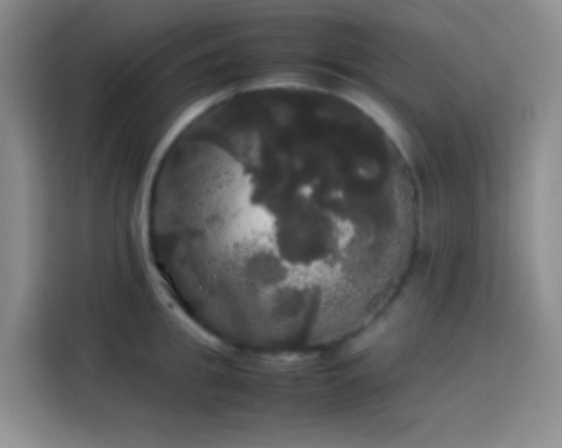 X0000113850949200910010958