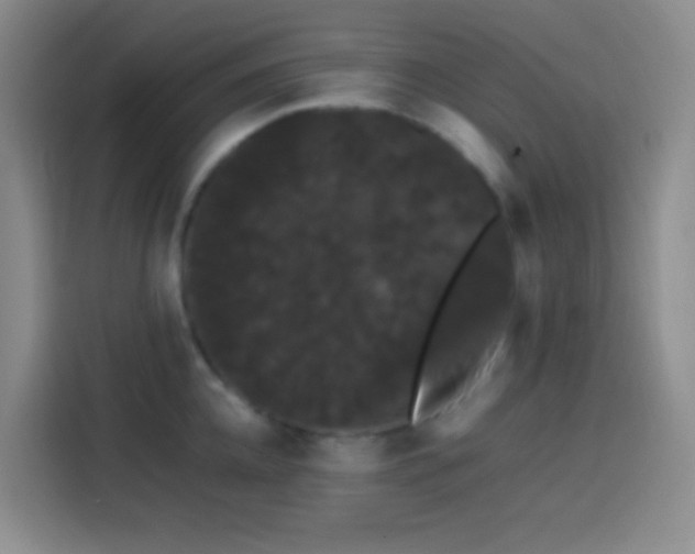 X0000113850952200910010958