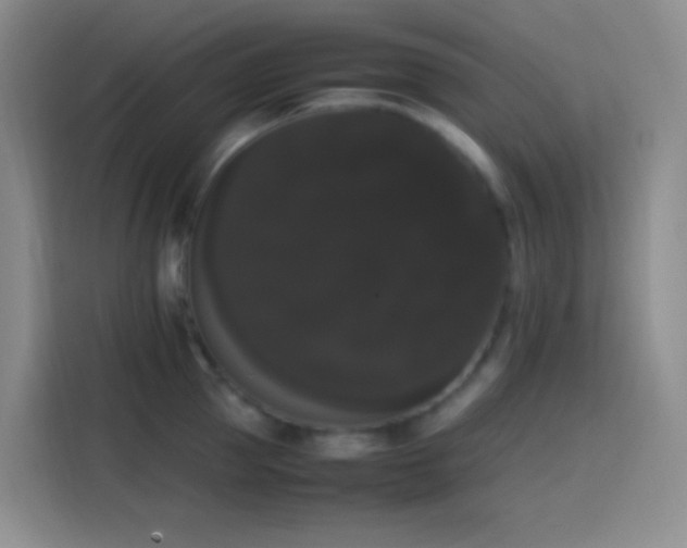 X0000113850953200910010958