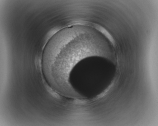 X0000113850954200910010958