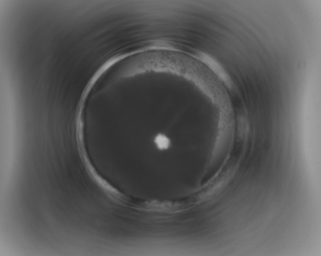 X0000113850955200910010958