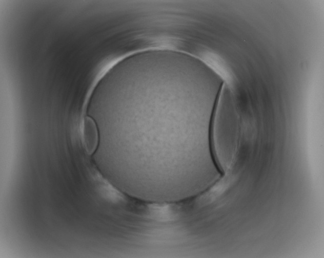 X0000113850956200910010958