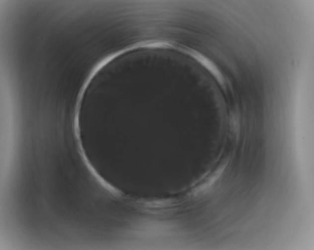 X0000113850959200910010958