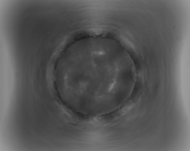 X0000113850961200910010957