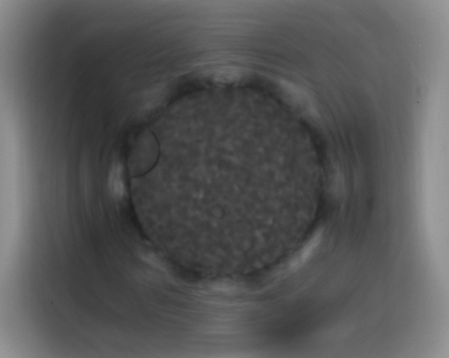 X0000113850962200910010957