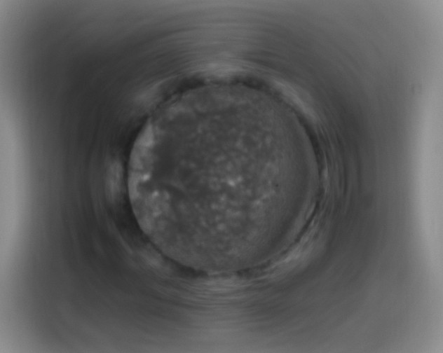 X0000113850964200910010957