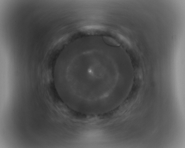 X0000113850965200910010957