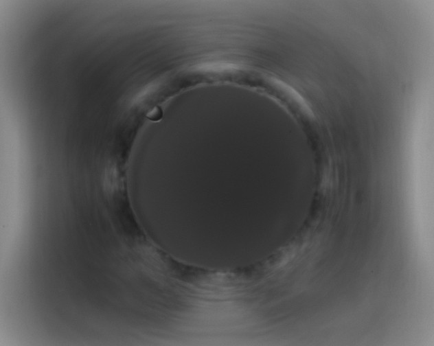 X0000113850966200910010957