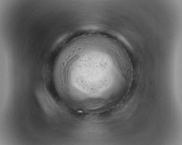 X0000113850967200910010957