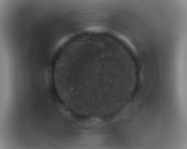 X0000113850968200910010957