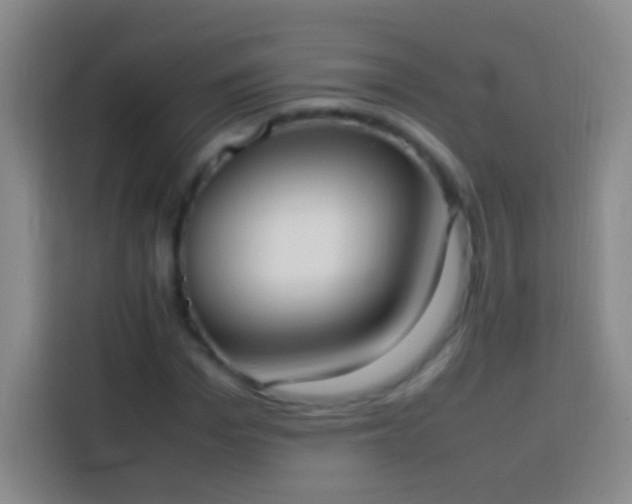 X0000113850969200910010957