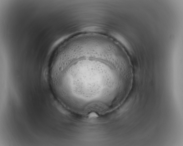 X0000113850971200910010957