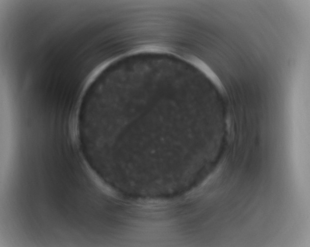 X0000113850972200910010957