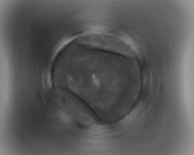 X0000113850973200910010957