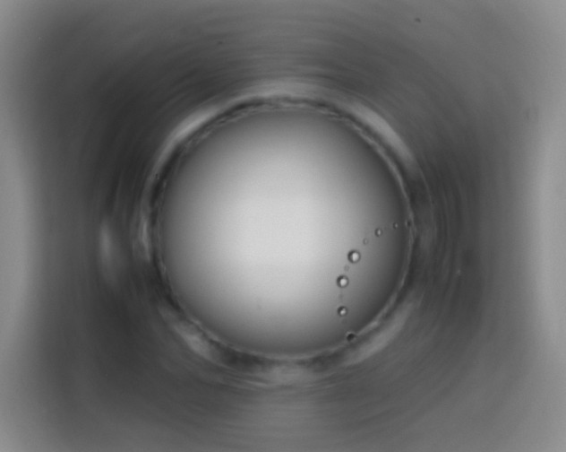 X0000113850974200910010957