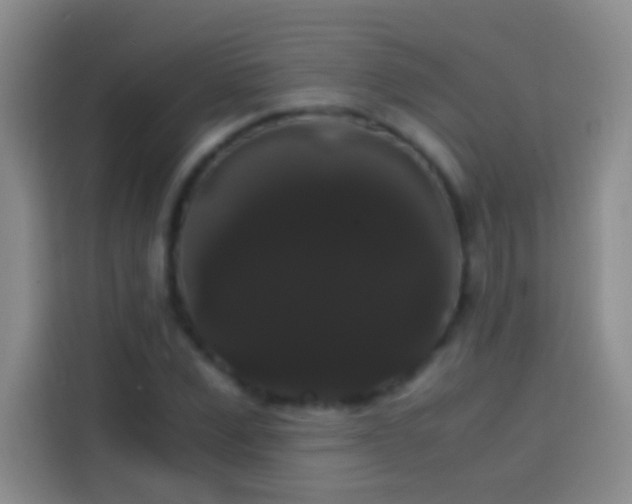 X0000113850975200910010957