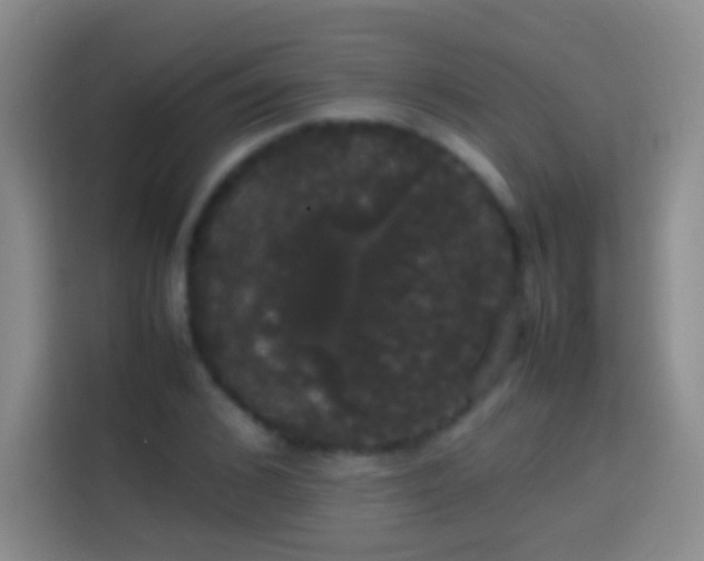 X0000113850976200910010957