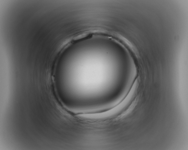 X0000113850977200910010957