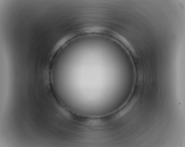 X0000113850978200910010957