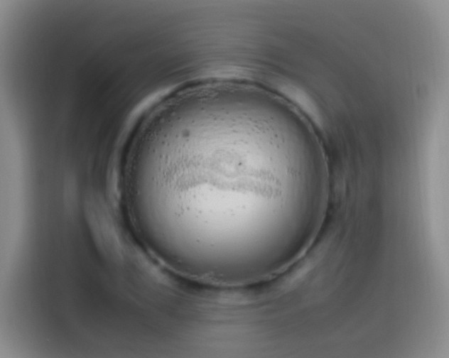 X0000113850979200910010957