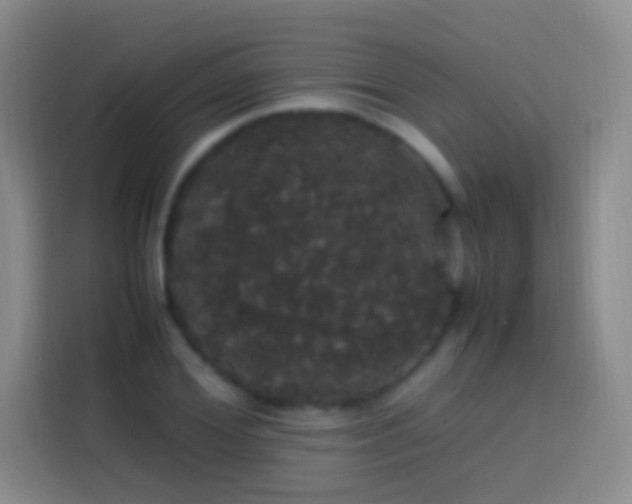 X0000113850980200910010957