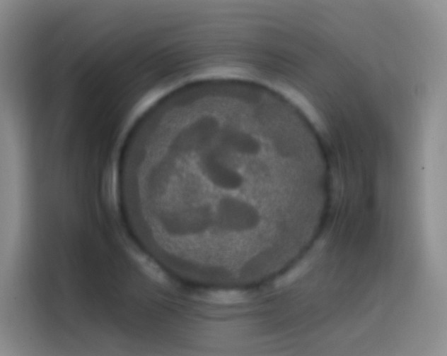 X0000113850982200910010957