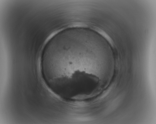 X0000113850983200910010957