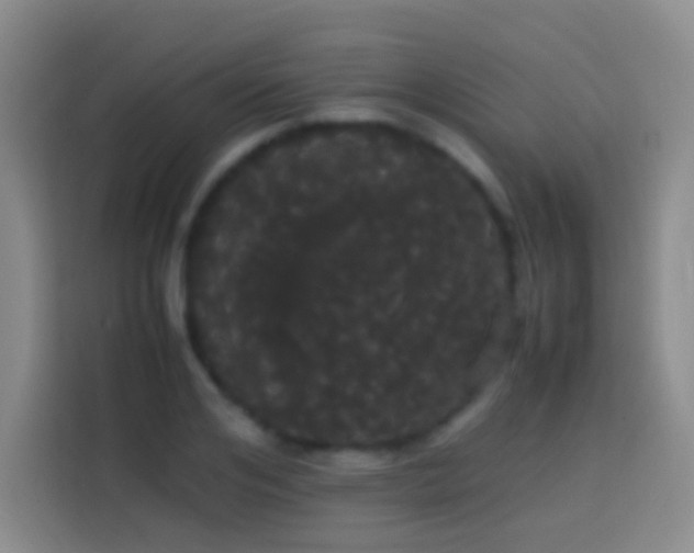 X0000113850984200910010957