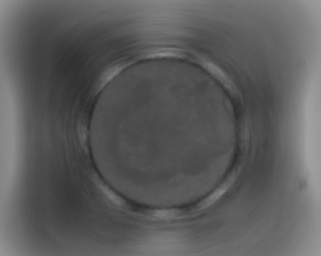 X0000113850985200910010957