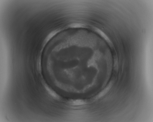 X0000113850986200910010957