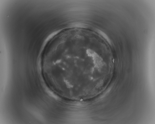 X0000113850987200910010957