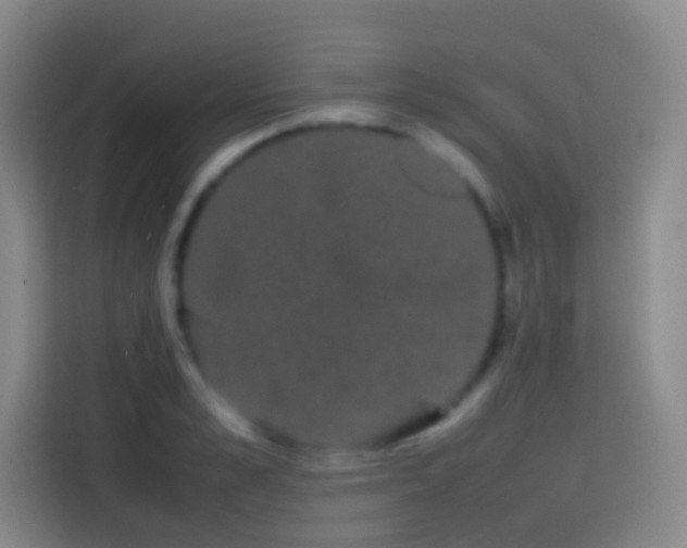 X0000113850989200910010957