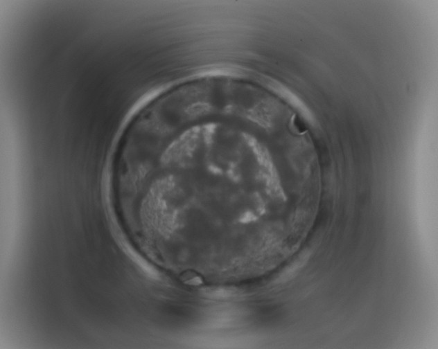 X0000113850991200910010957