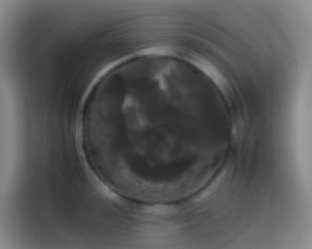 X0000113850992200910010957