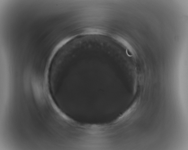 X0000113850995200910010957