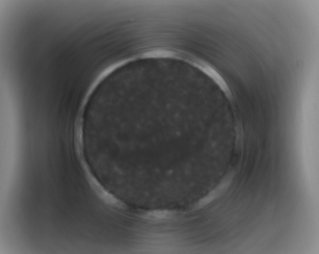 X0000113851000200910010957