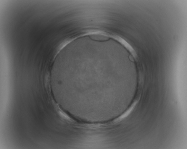 X0000113851001200910010957