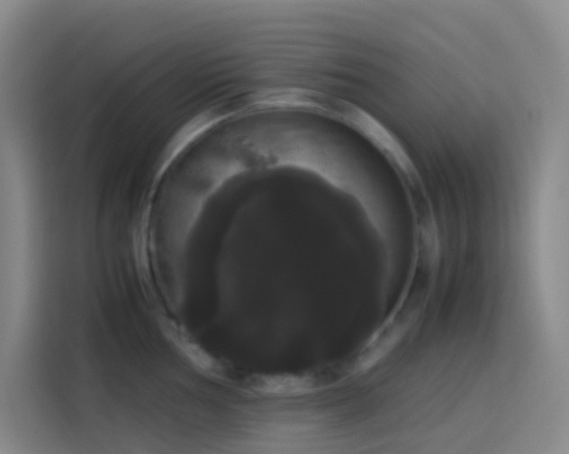 X0000113851002200910010957