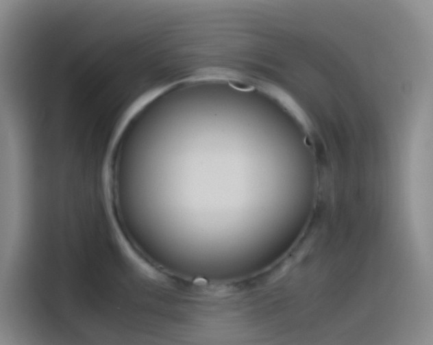 X0000113851003200910010957