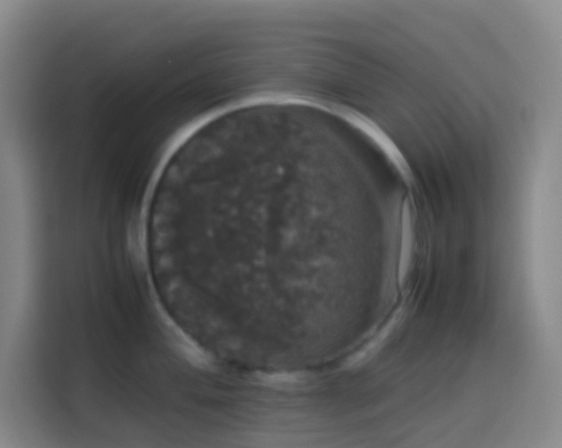 X0000113851004200910010957