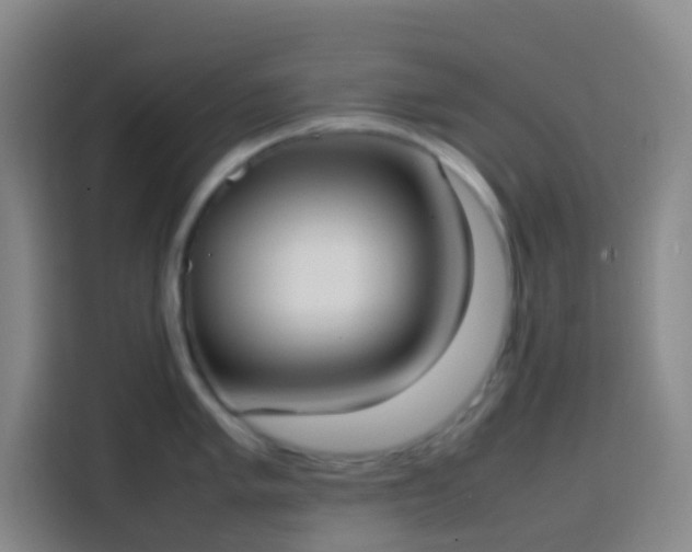 X0000113851005200910010957