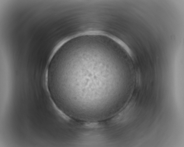 X0000113851006200910010957