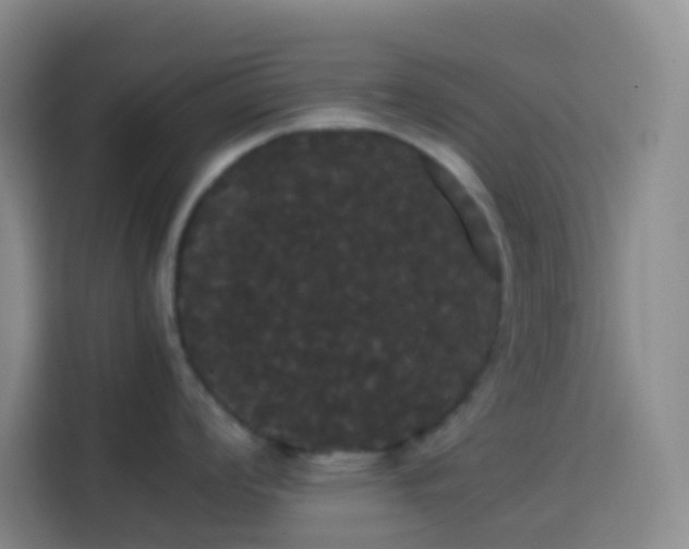 X0000113851008200910010957